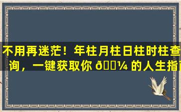 不用再迷茫！年柱月柱日柱时柱查询，一键获取你 🐼 的人生指南！